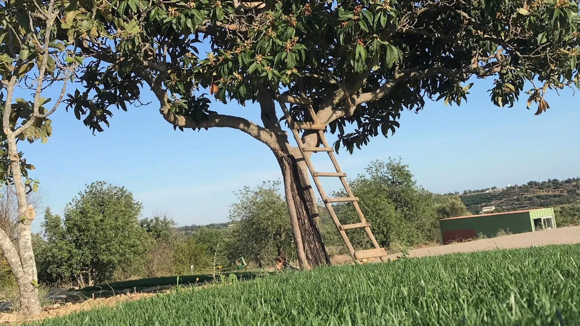 הוילה Tavira-Quinta Da Janela Azul פורטוגל